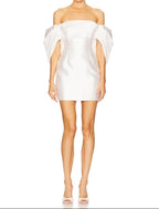 Elina Mini Dress - By Solace London